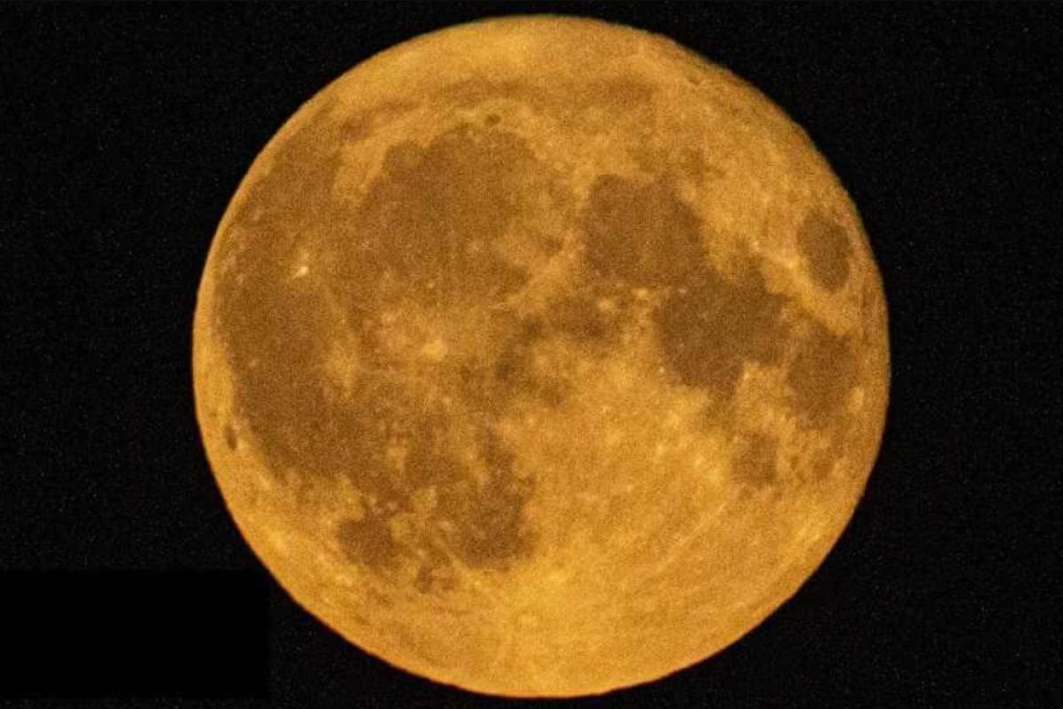 "Оленья луна"