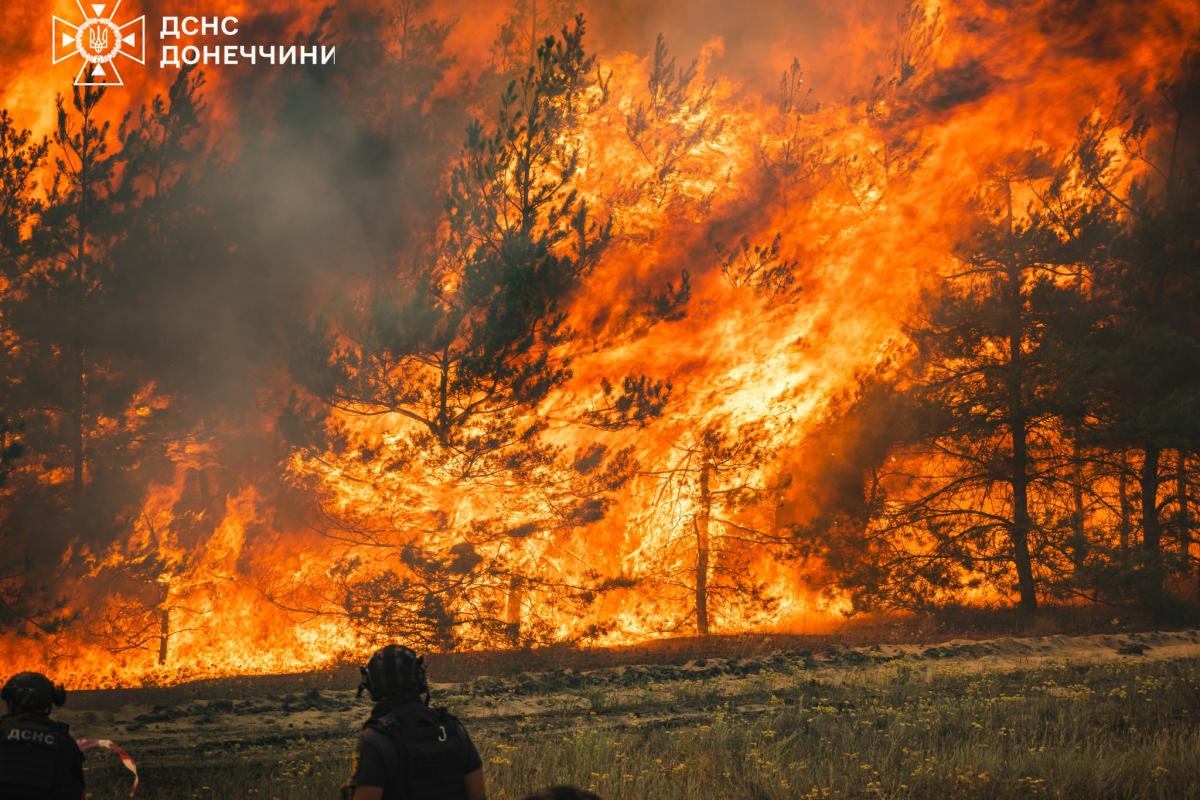 Фото: ГСЧС Донецкой области