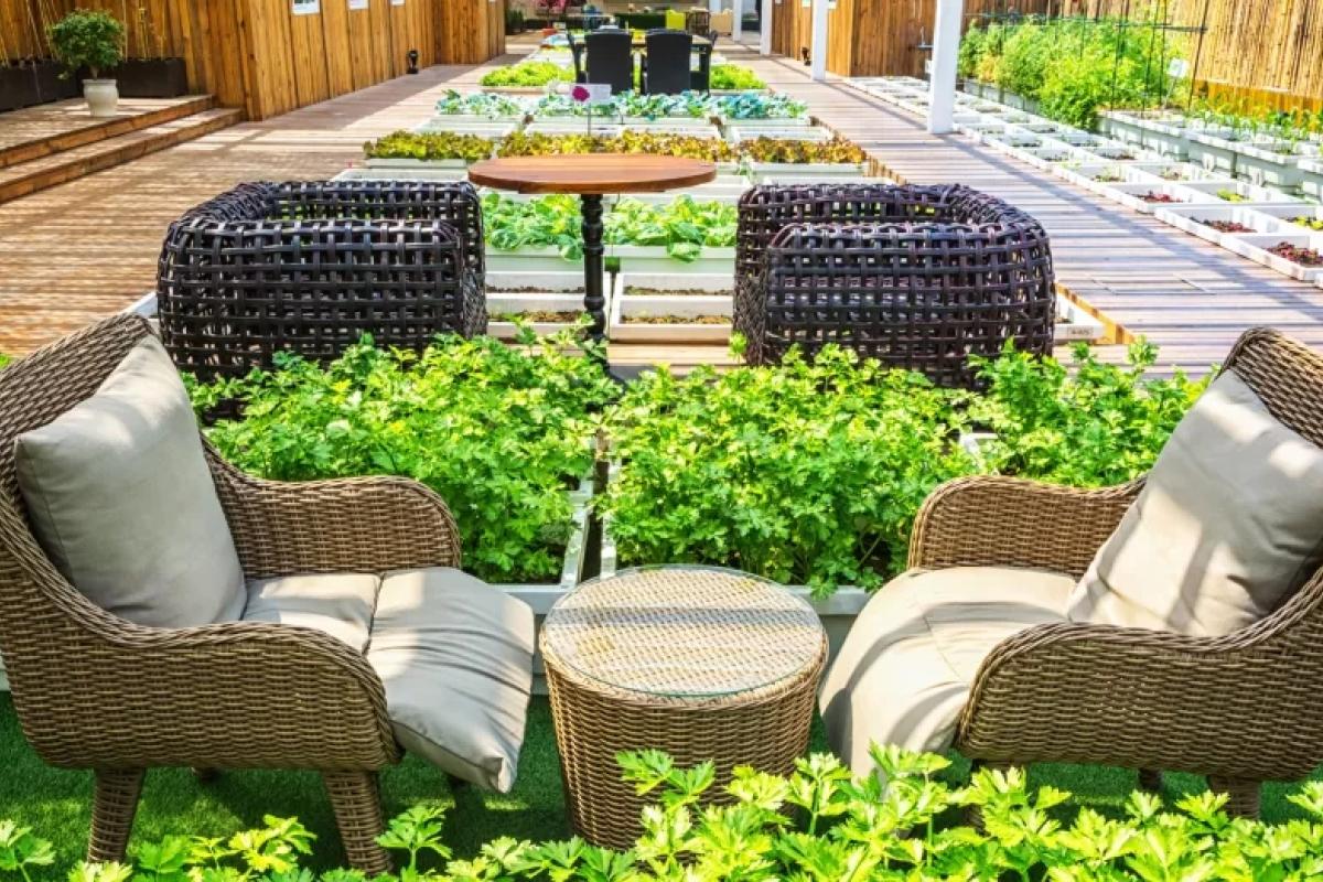 Почему стоит приобрести мебель из ротанга