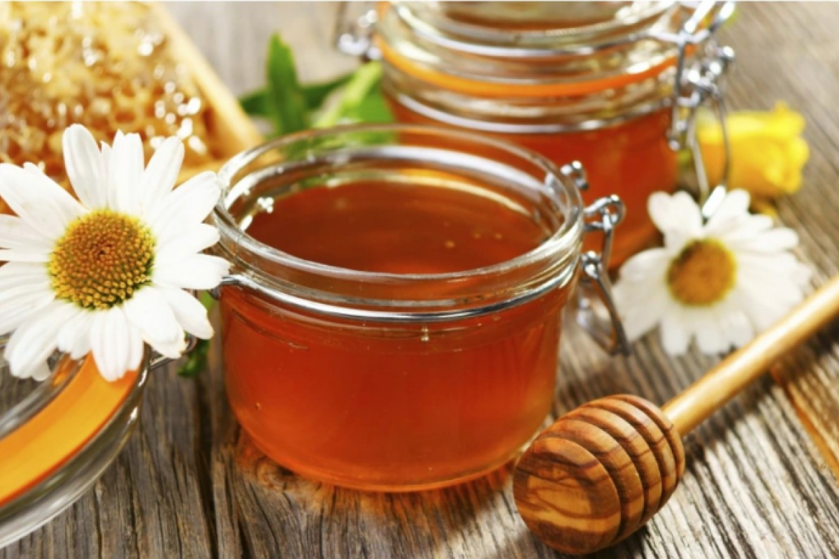 Домашняя пасека, или Что нужно начинающему пчеловоду Домашняя пасека, или Что нужно начинающему пчеловоду