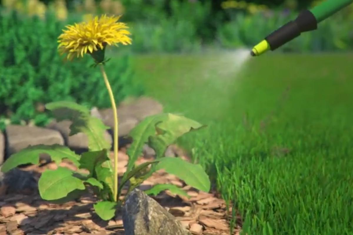 Гербіциди проти бур'янів: що це таке та як їх використовувати