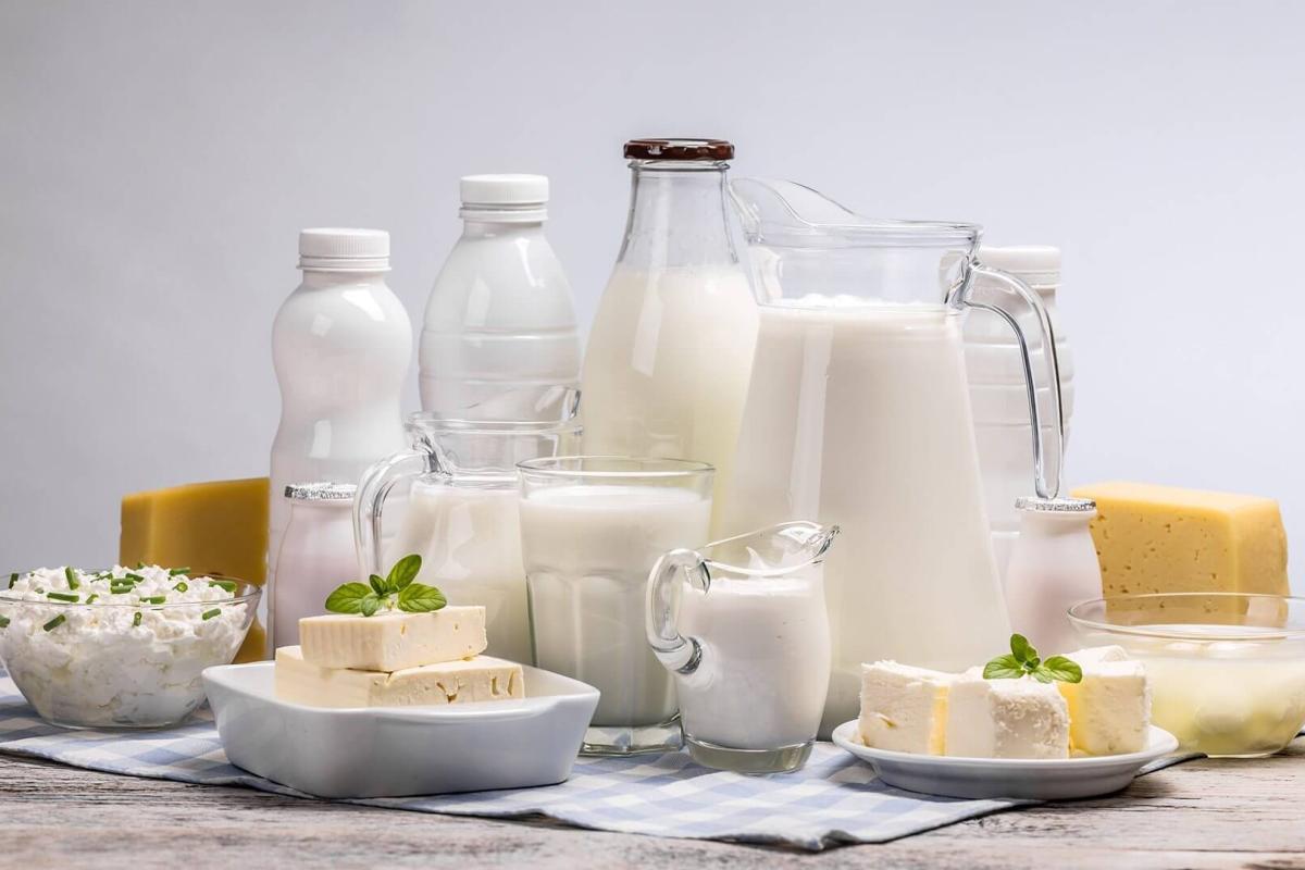 молочная продукция