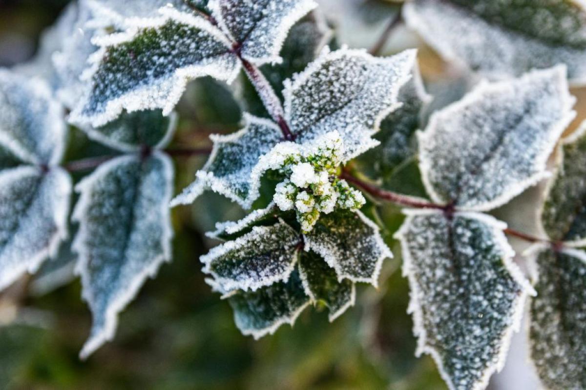 Как изменится погода в Украине 11 декабря? прогноз погоды по Украине