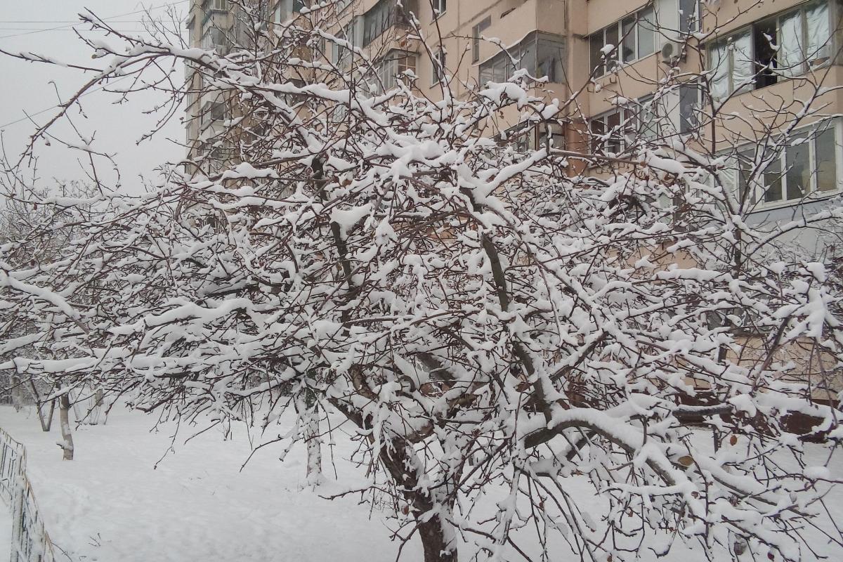 Якою буде погода в Україні на Різдво? прогноз погоди