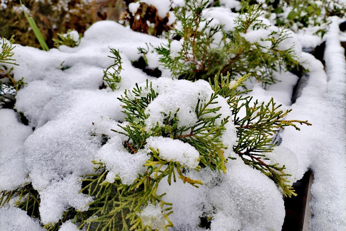 Как изменится погода в Украине 16 декабря? прогноз погоды по Украине