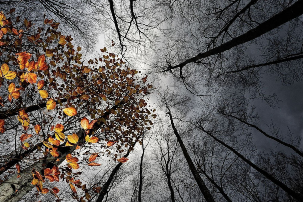 Как изменится погода в Украине 3 декабря? прогноз погоды по Украине