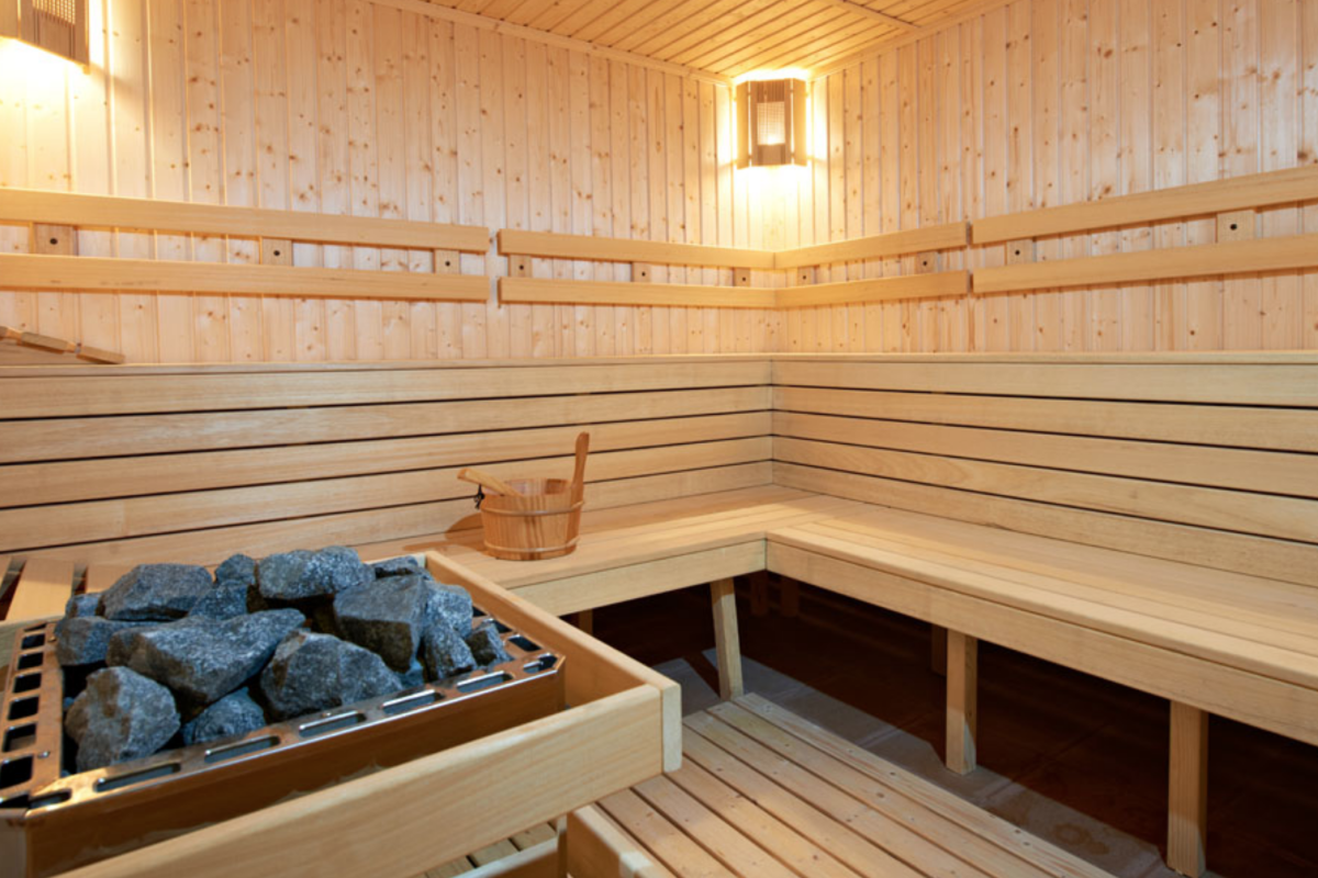 Как выбрать электрокаменку для бани и в чем ее преимущества? электрокаменки для бань