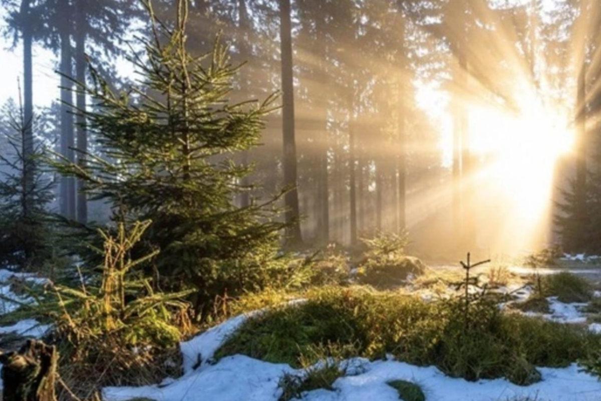 Как изменится погода в Украине 17 декабря? прогноз погоды по Украине