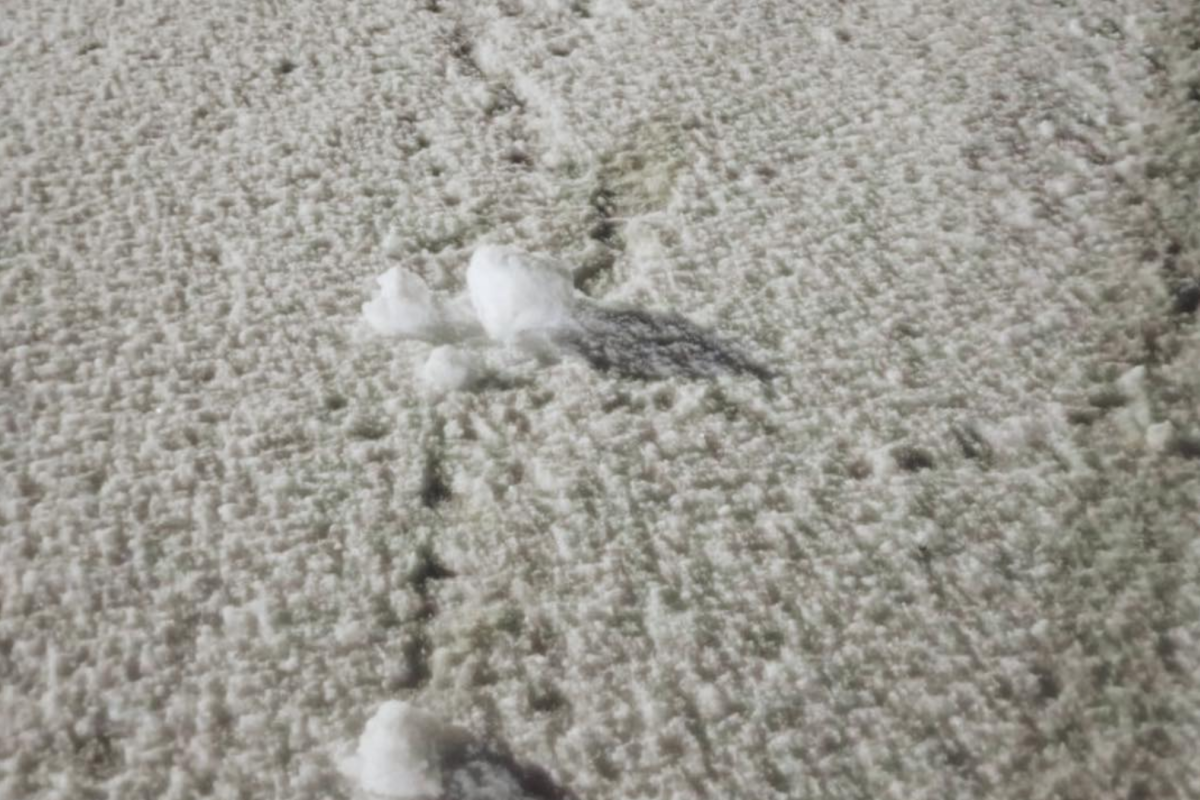 Такое встречается очень редко! В одном из регионов заметили "снежные рулоны". снежные рулоны