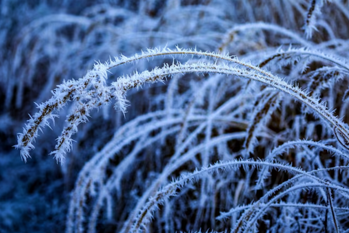 Как изменится погода в Украине 11 января? прогноз погоды по Украине