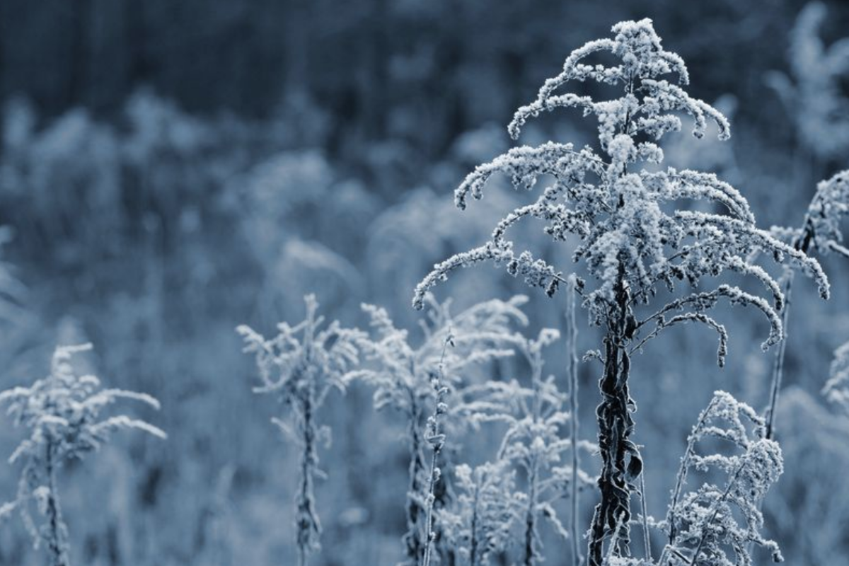 прогноз погоды по Украине