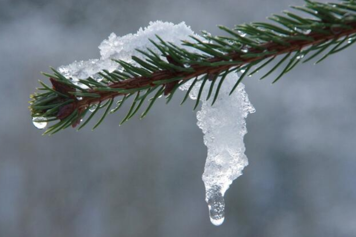 Как изменится погода в Украине 28 и 29 января? прогноз погоды