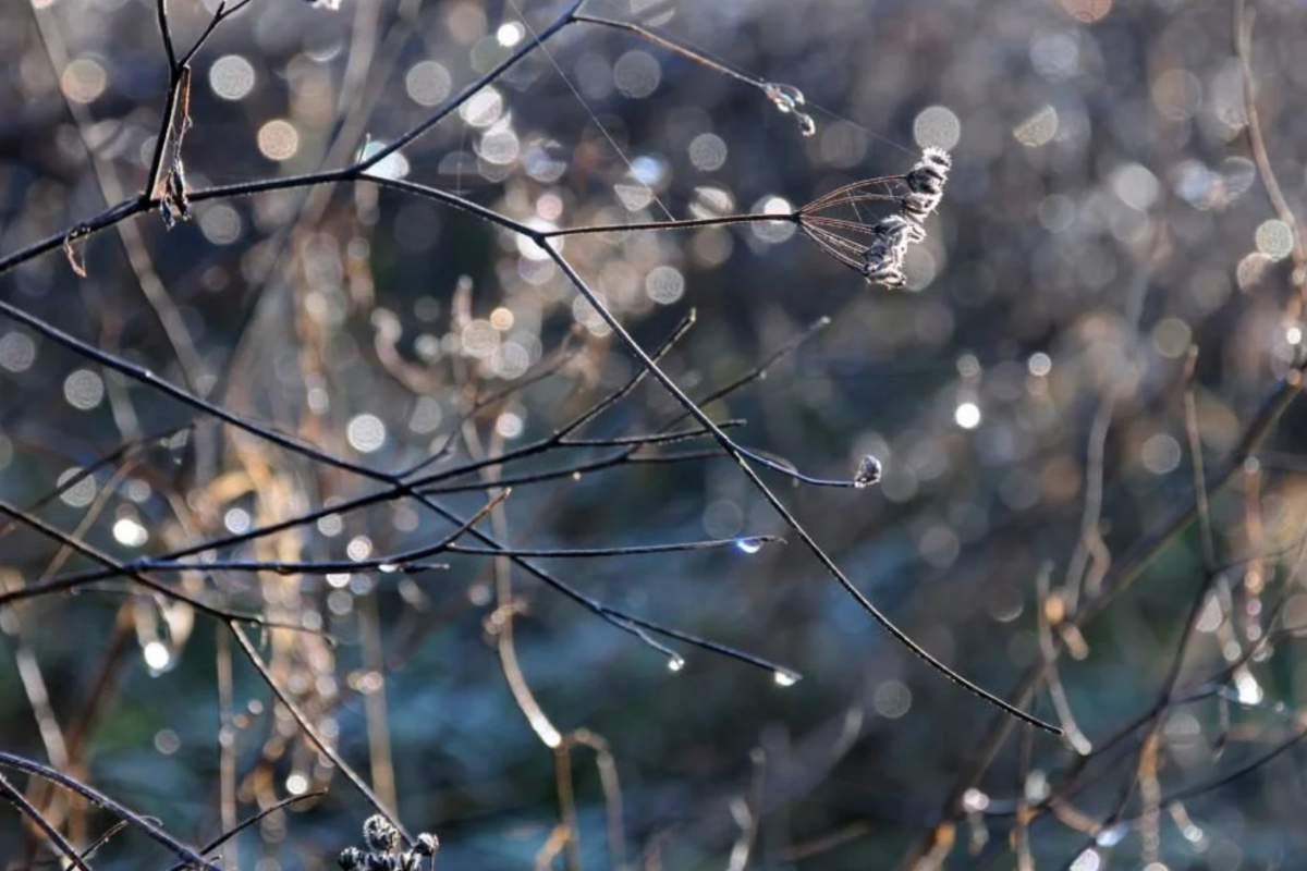 прогноз погоды по Украине