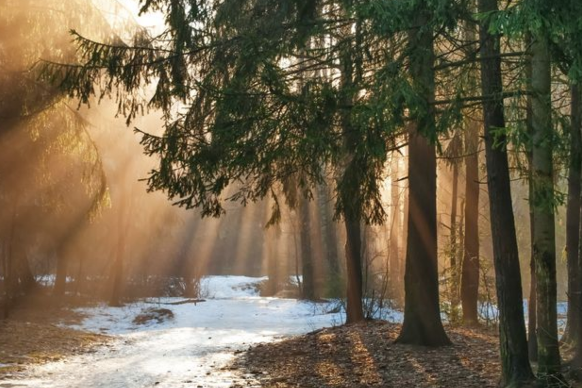 прогноз погоди по Україні