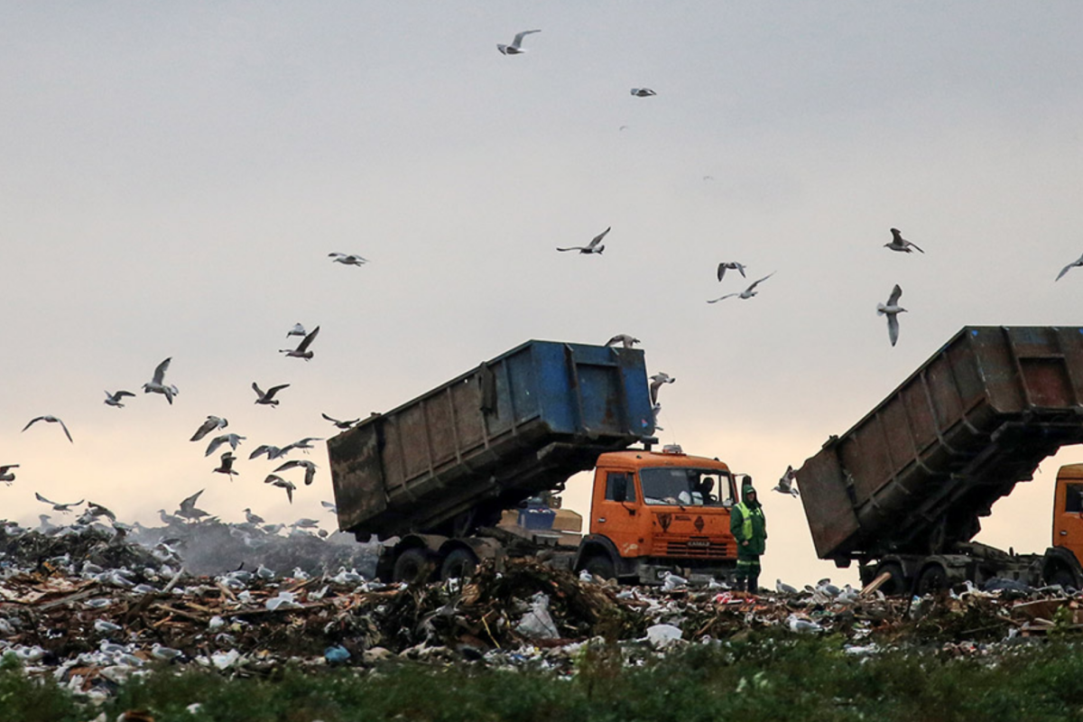 мусорная свалка