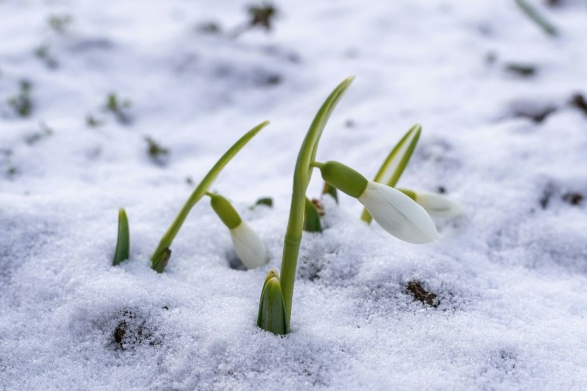 прогноз погоди по Україні