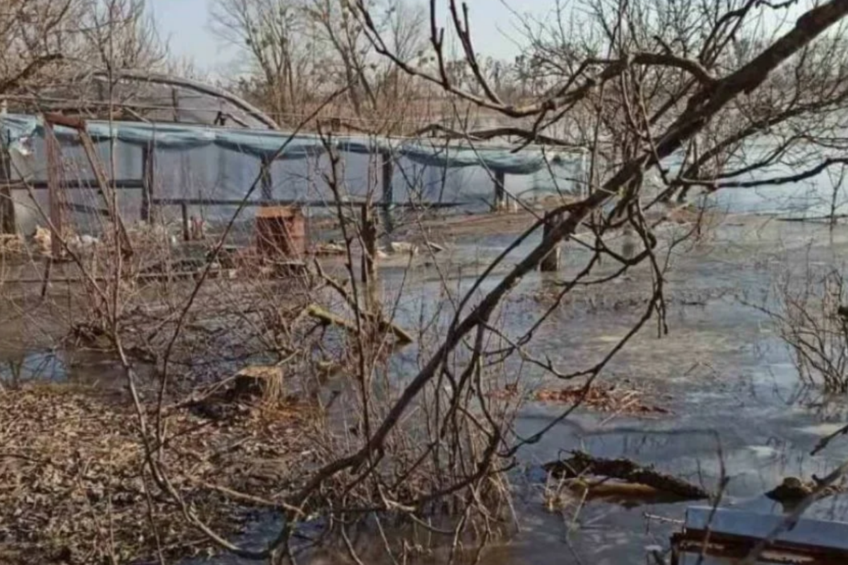 наводнение