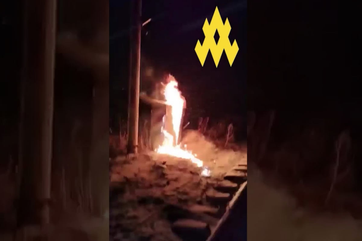 партизани