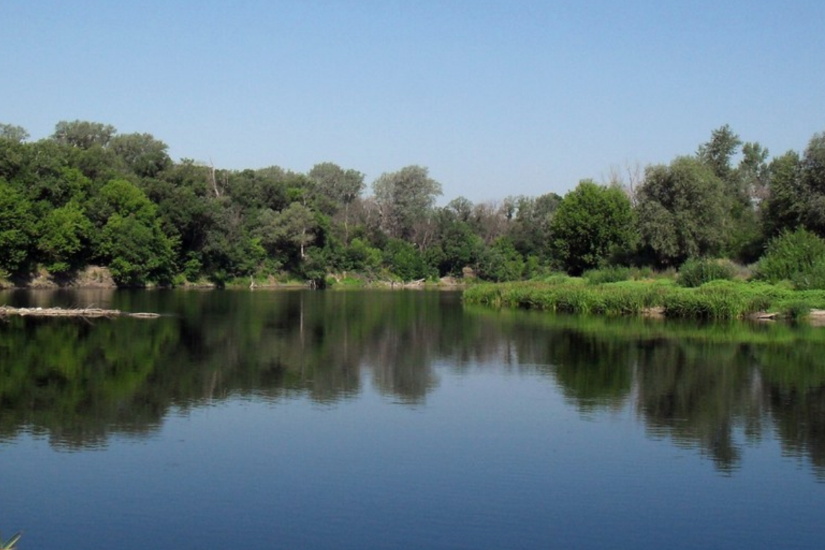 Сіверський Донець - свіжі фото. Сіверський Донець