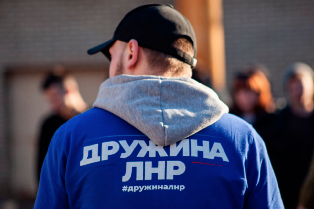народна дружина