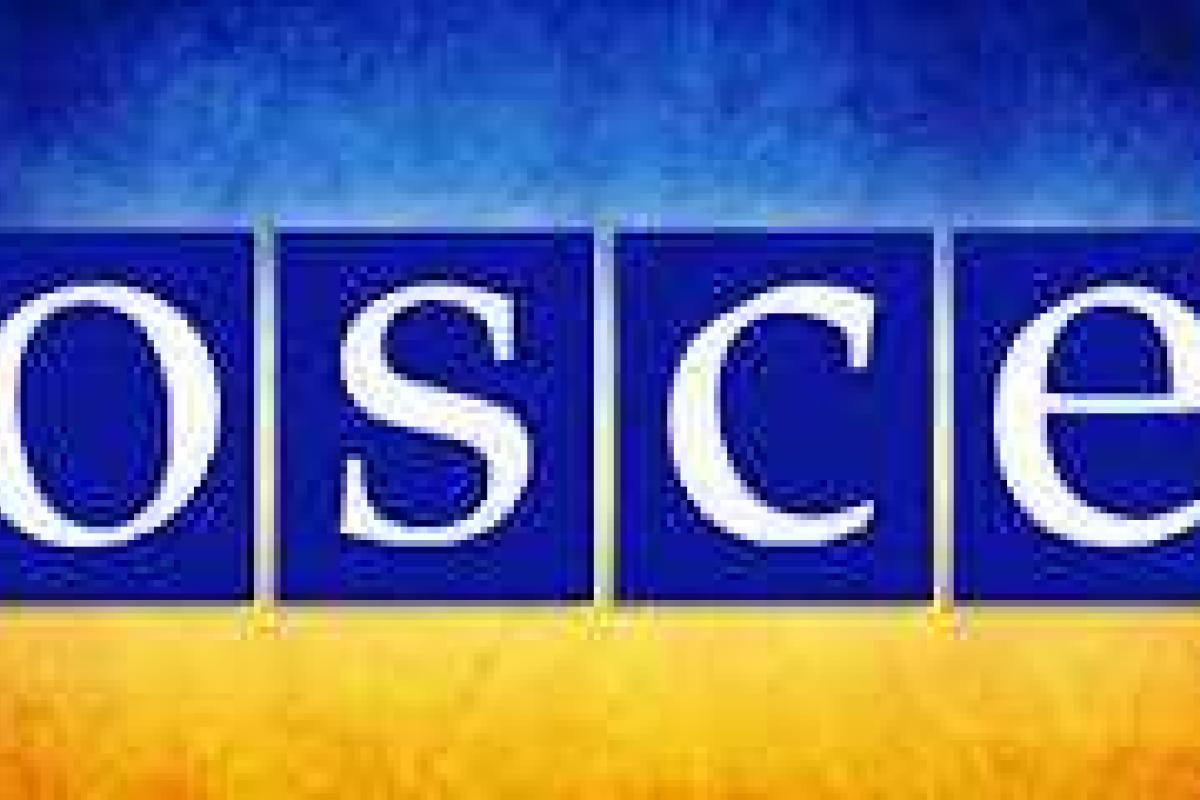 ОБСЕ приобрела беспилотники для патрулирования украинско-российской границы ОБСЕ приобрела беспилотники для патрулирования украинско-российской границы