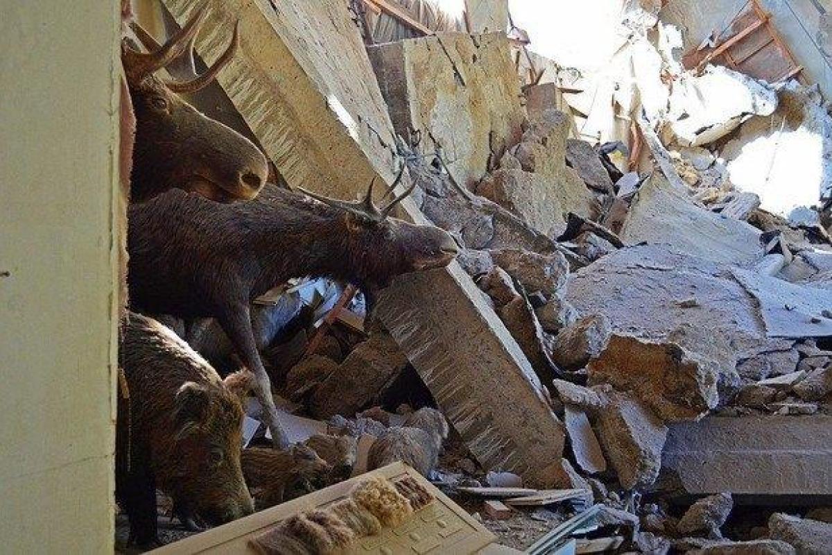 Террористы уничтожили один из старейших музеев страны Террористы уничтожили один из старейших музеев страны