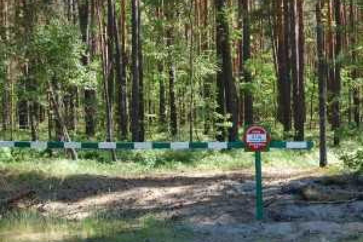 На Житомирщине запретили посещать леса На Житомирщине запретили посещать леса