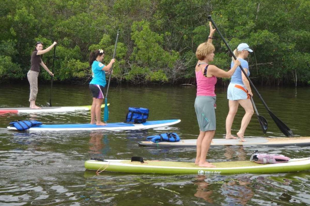 Гребля на доске SUP — это не просто модно и весело, но и полезно! Гребля на доске SUP — это не просто модно и весело, но и полезно!