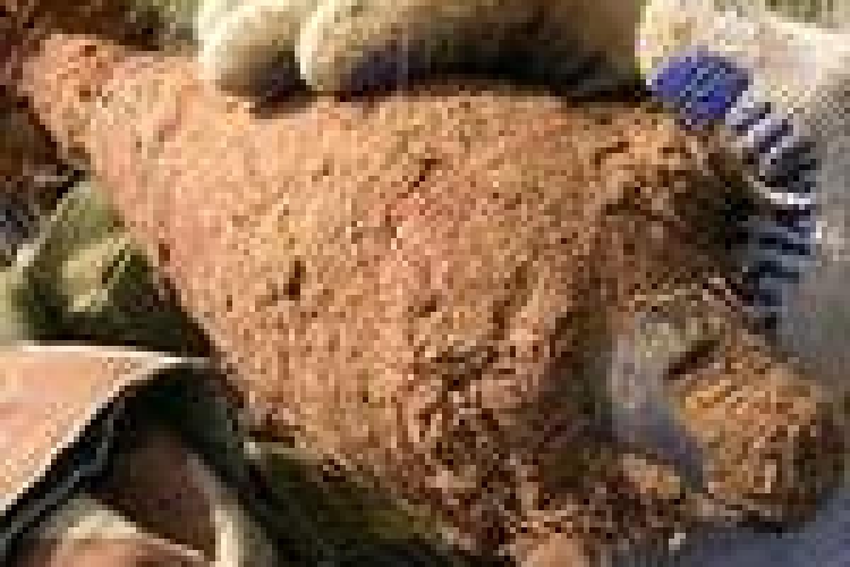Возле Северодонецка саперы уничтожают боеприпасы Возле Северодонецка саперы уничтожают боеприпасы