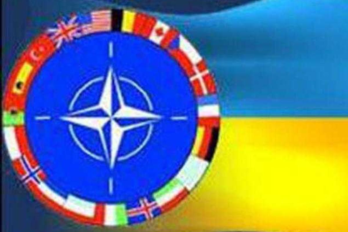 Украина получит оружие от пяти стран НАТО Украина получит оружие от пяти стран НАТО