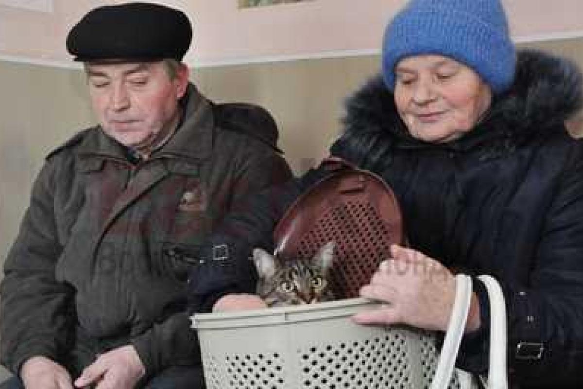 Луганским ветеринарам привозят вакцину коллеги Луганским ветеринарам привозят вакцину коллеги
