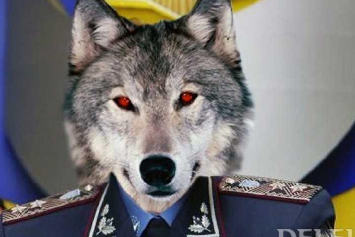 В Волновахе задержали закарпатского псевдогенерала