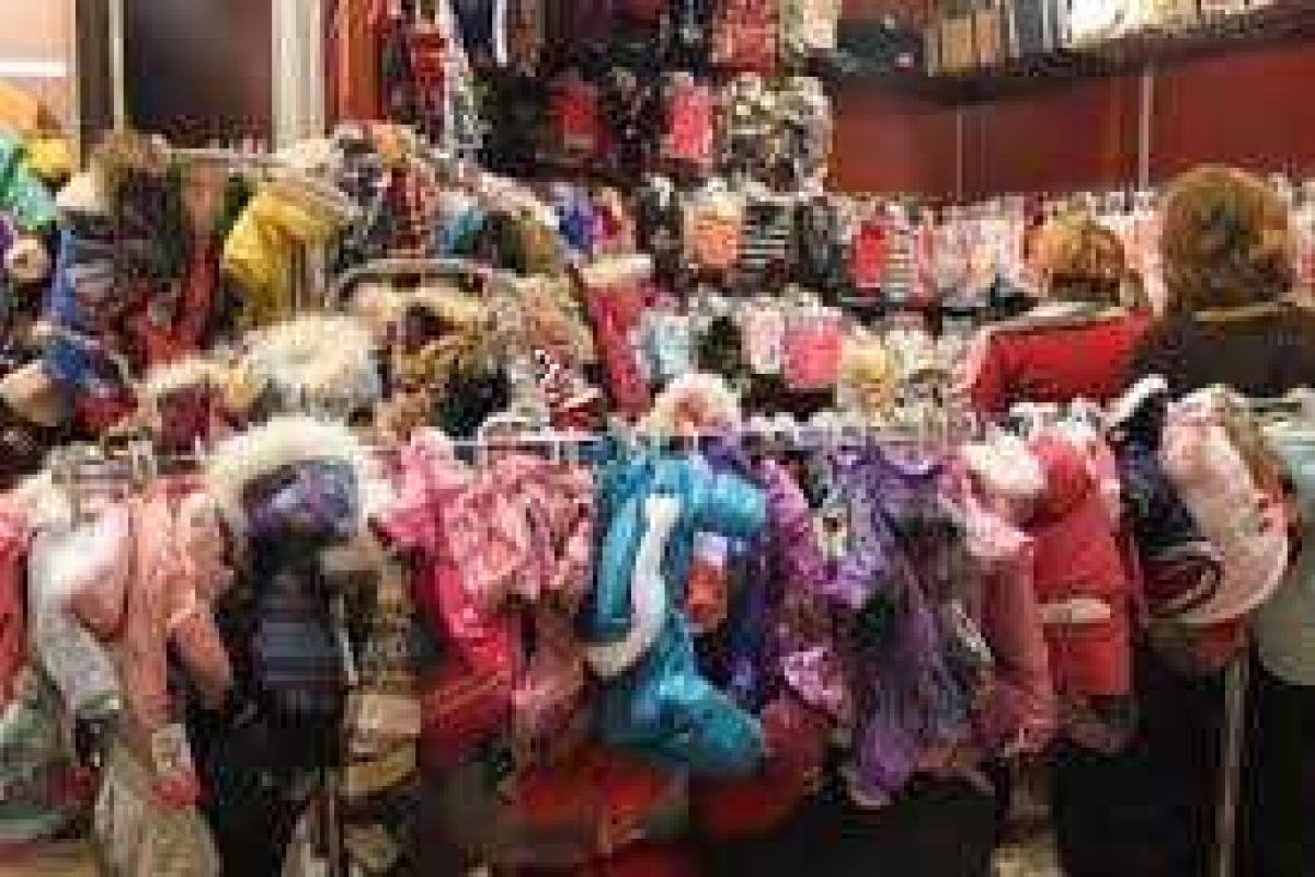 Одеваем домашних любимцев: какой цвет и фасон выбрать