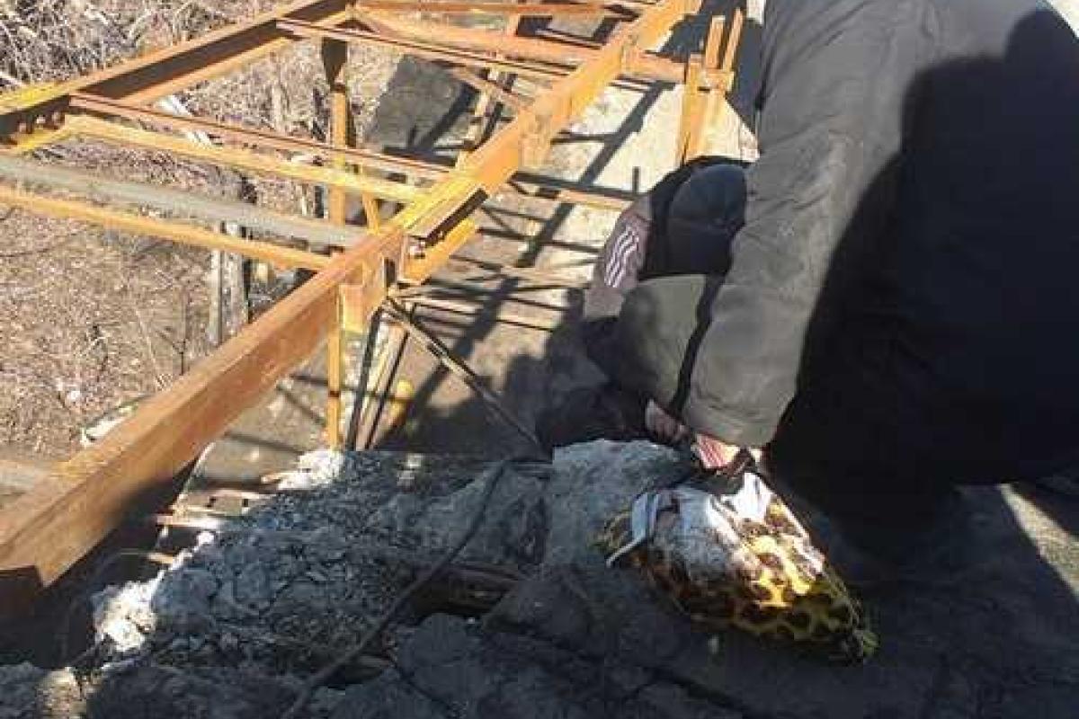 В Станице Луганской установили пешую переправу через взорванный мост В Станице Луганской установили пешую переправу через взорванный мост