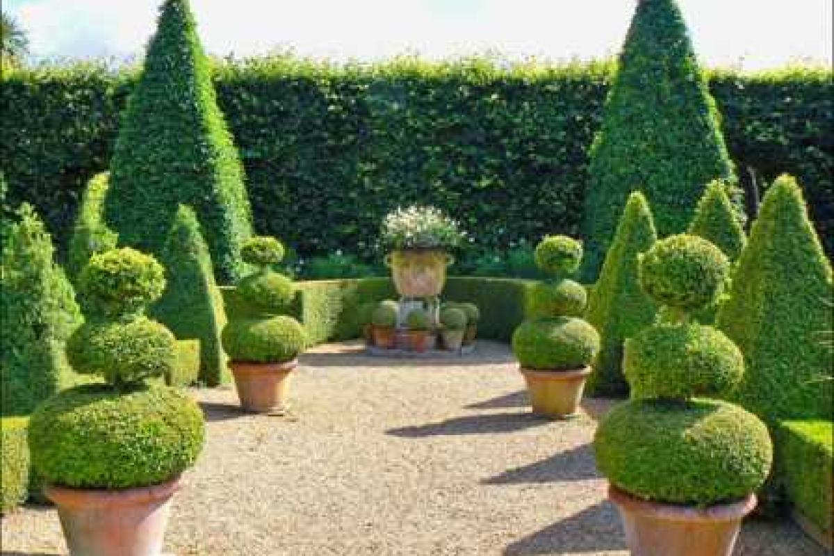 Топиарий – что это такое? Топиарий – что это такое?