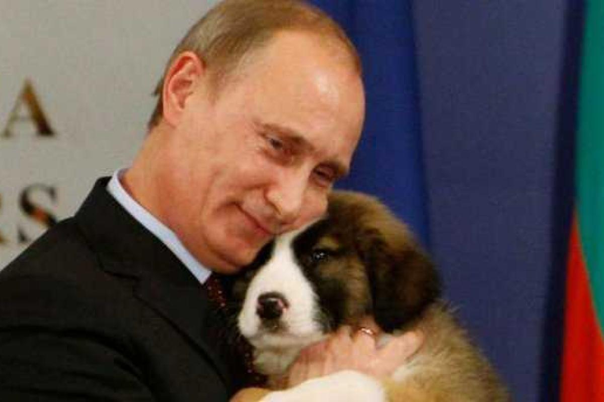 Россия не будет атаковать Украину, потому что "есть чем заняться" - Путин Россия не будет атаковать Украину, потому что "есть чем заняться" - Путин