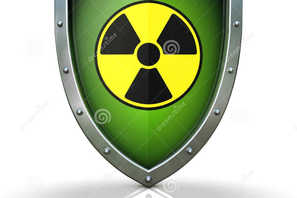 Украина договорилась с Германией о ядерной защите Украина договорилась с Германией о ядерной защите