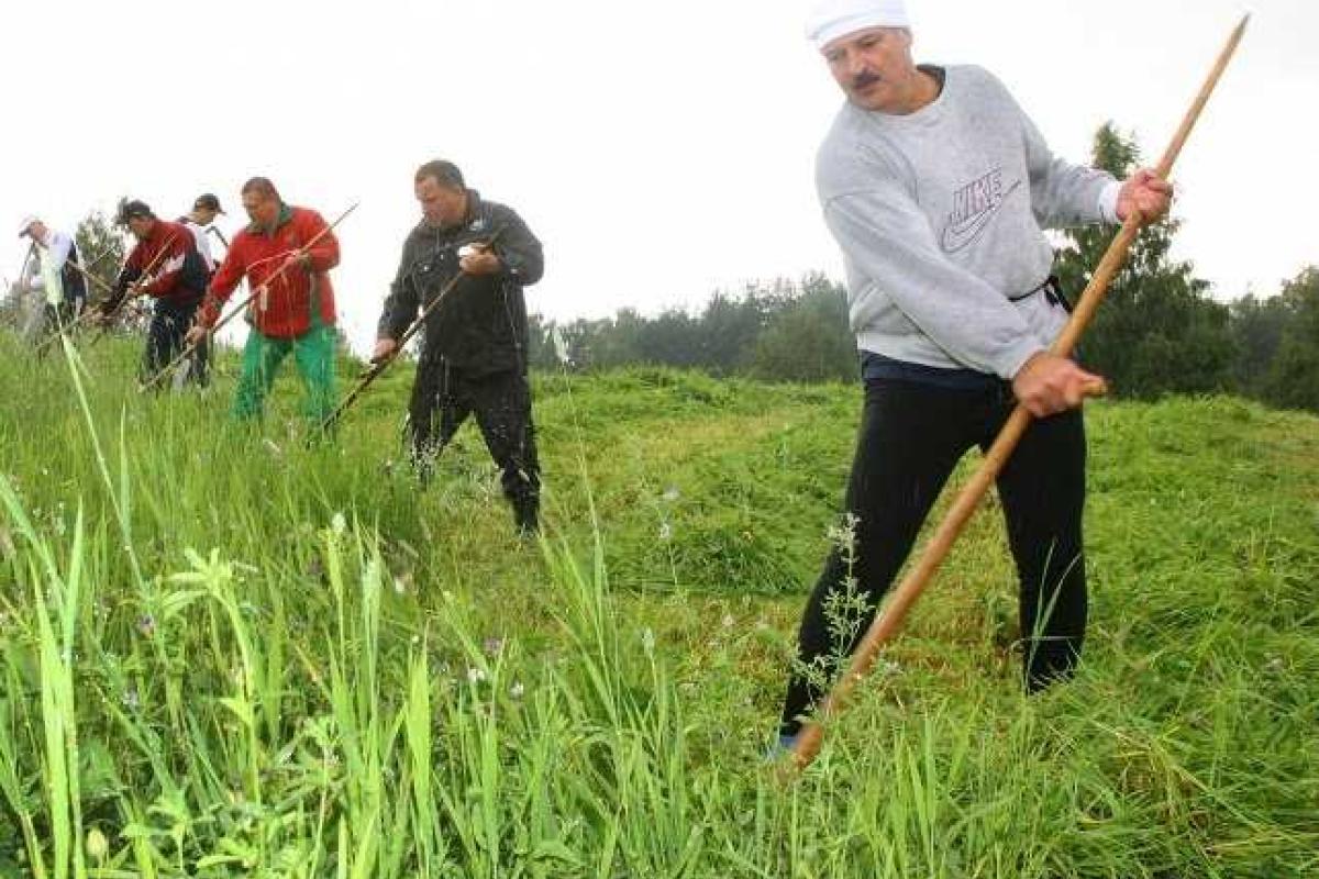Депардье косит траву в Белоруссии