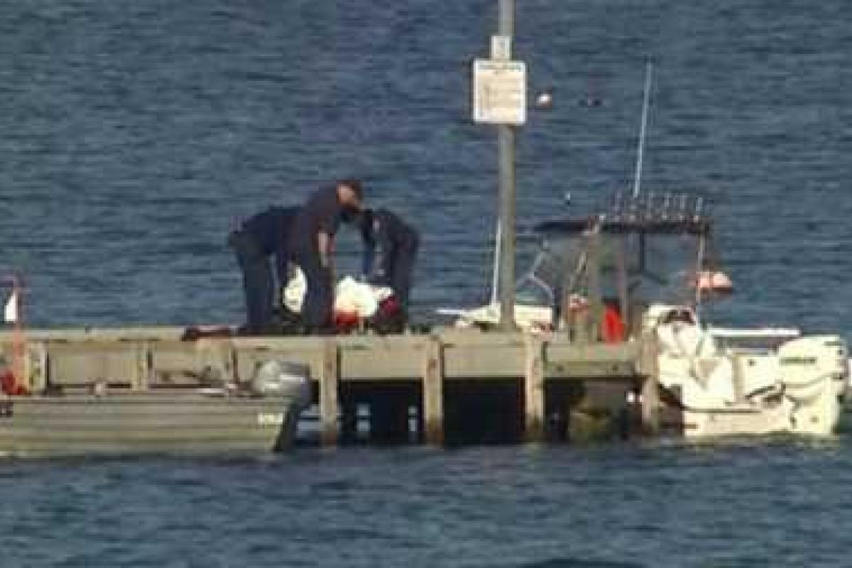 В Австралии акула убила мужчину на глазах дочери 