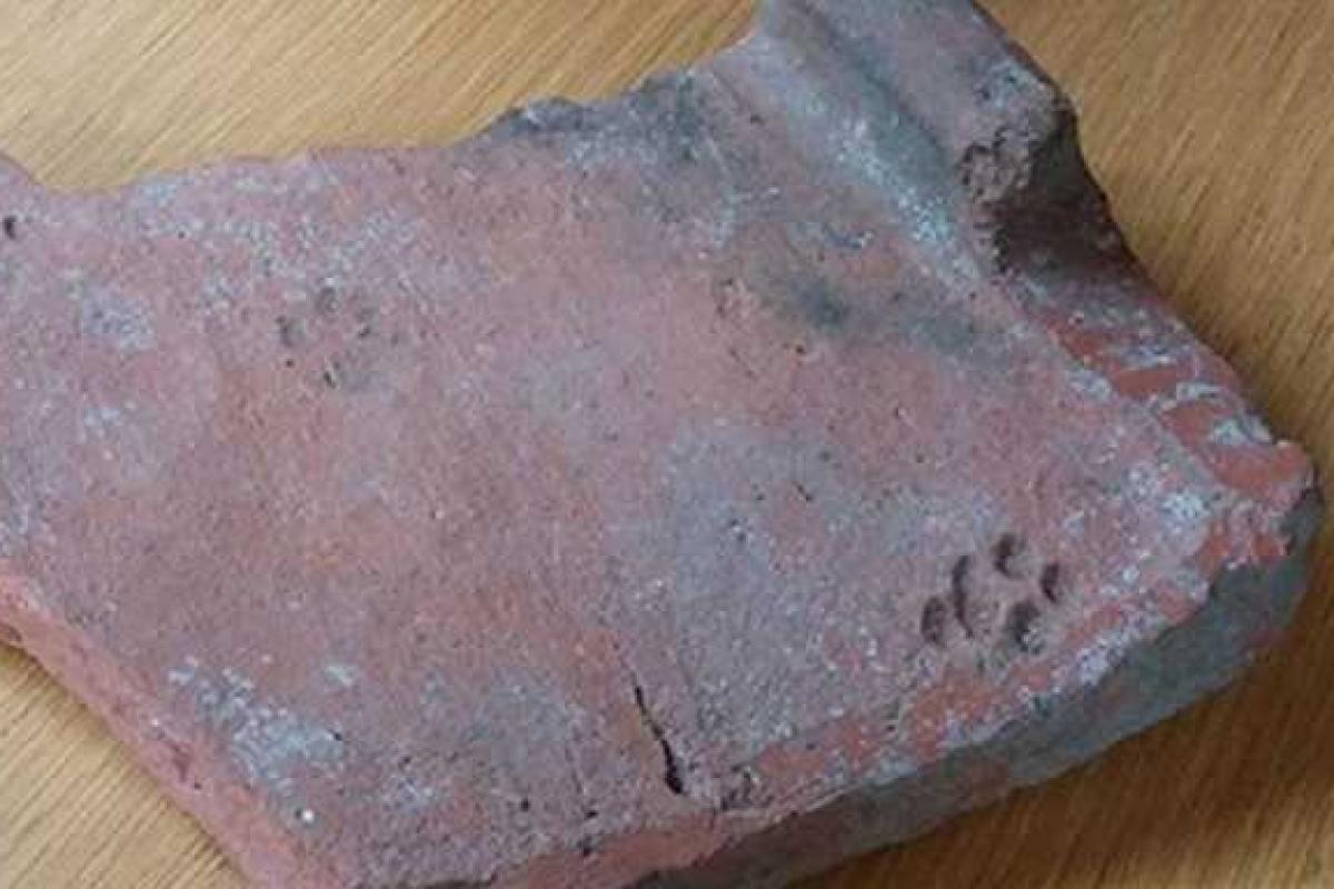 Археологи обнаружили отпечаток кошачьей лапы, которой 2 тысячи лет