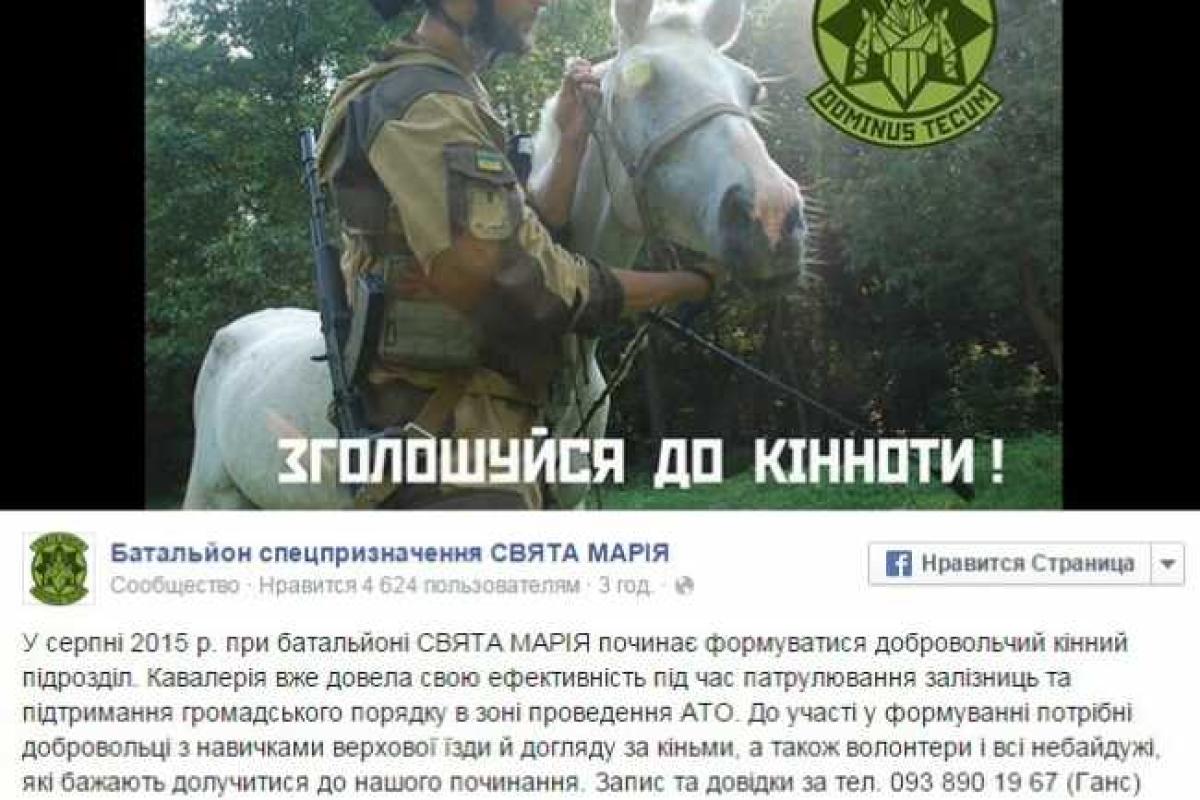 В украинской армии появится кавалерия В украинской армии появится кавалерия