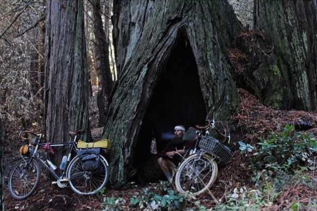 35-летний американец полгода работает, а полгода путешествует на 10 долларов в день 35-летний американец полгода работает, а полгода путешествует на 10 долларов в день