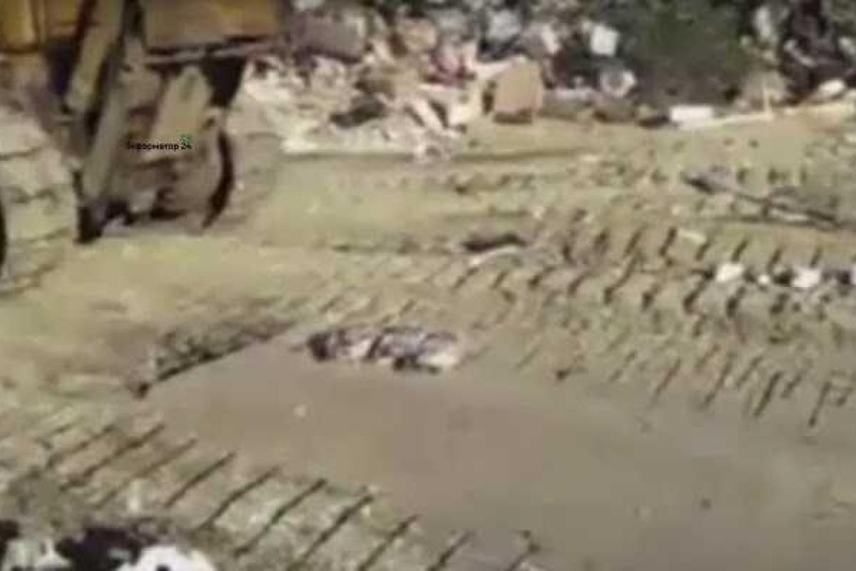 Маразм крепчает: в России целый день давили тушки трех санкционных гусей Маразм крепчает: в России целый день давили тушки трех санкционных гусей