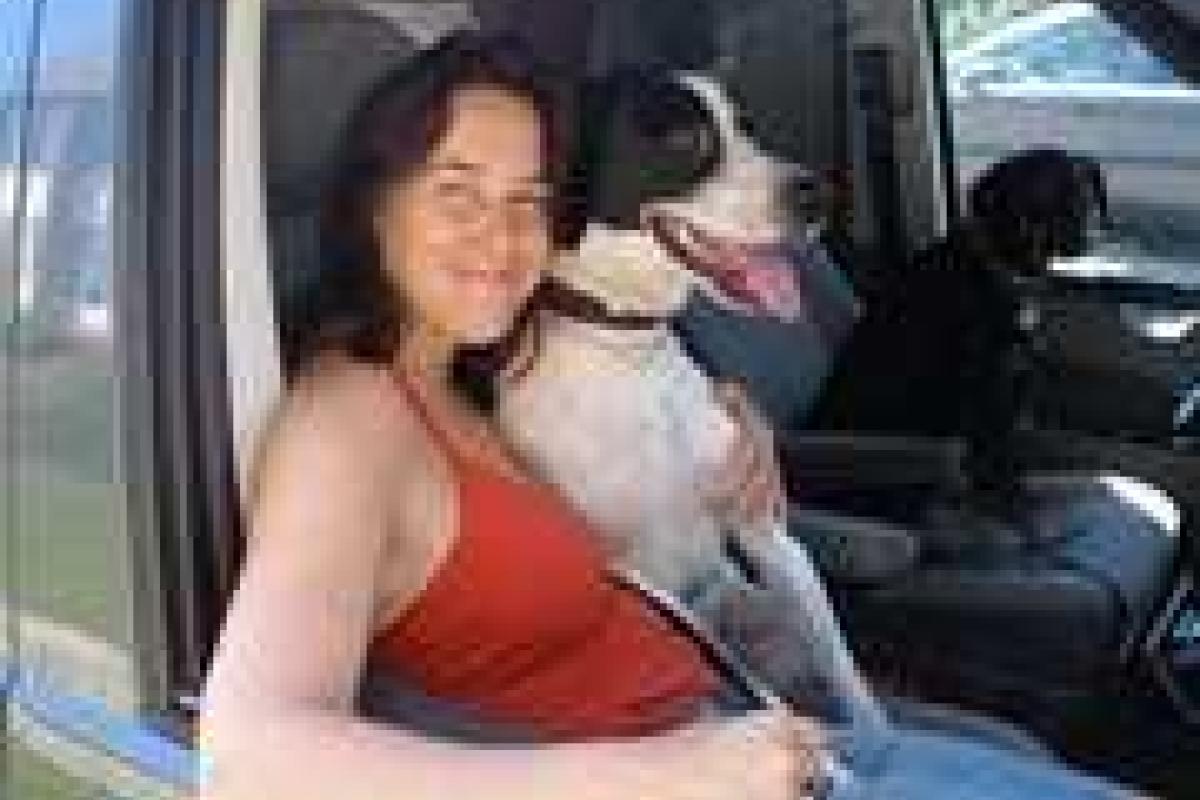 Голландка усыпила своего мужа-кота и выходит замуж за собаку Голландка усыпила своего мужа-кота и выходит замуж за собаку