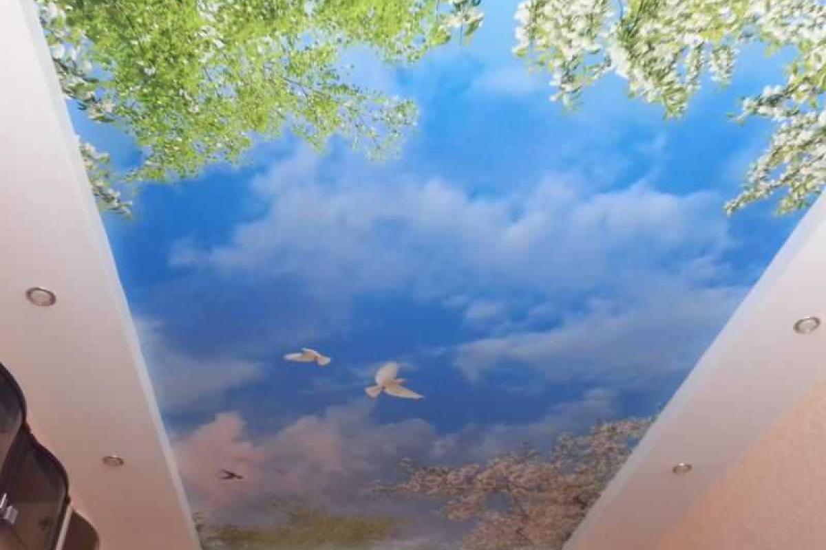 Натяжной потолок с фотопечатью