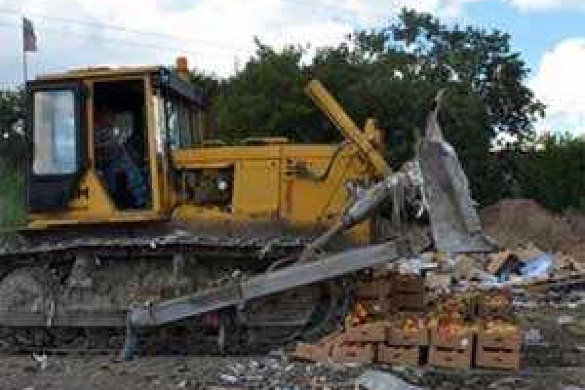 Россиянам предлагают жаловаться на санкционные продукты, а они подписывают петицию против уничтожения