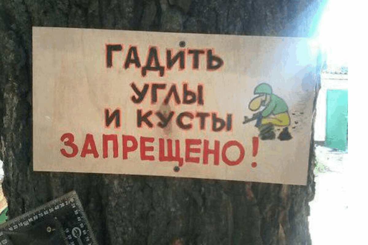 В Донецкой области бойцы АТО развесили шутливые указатели В Донецкой области бойцы АТО развесили шутливые указатели