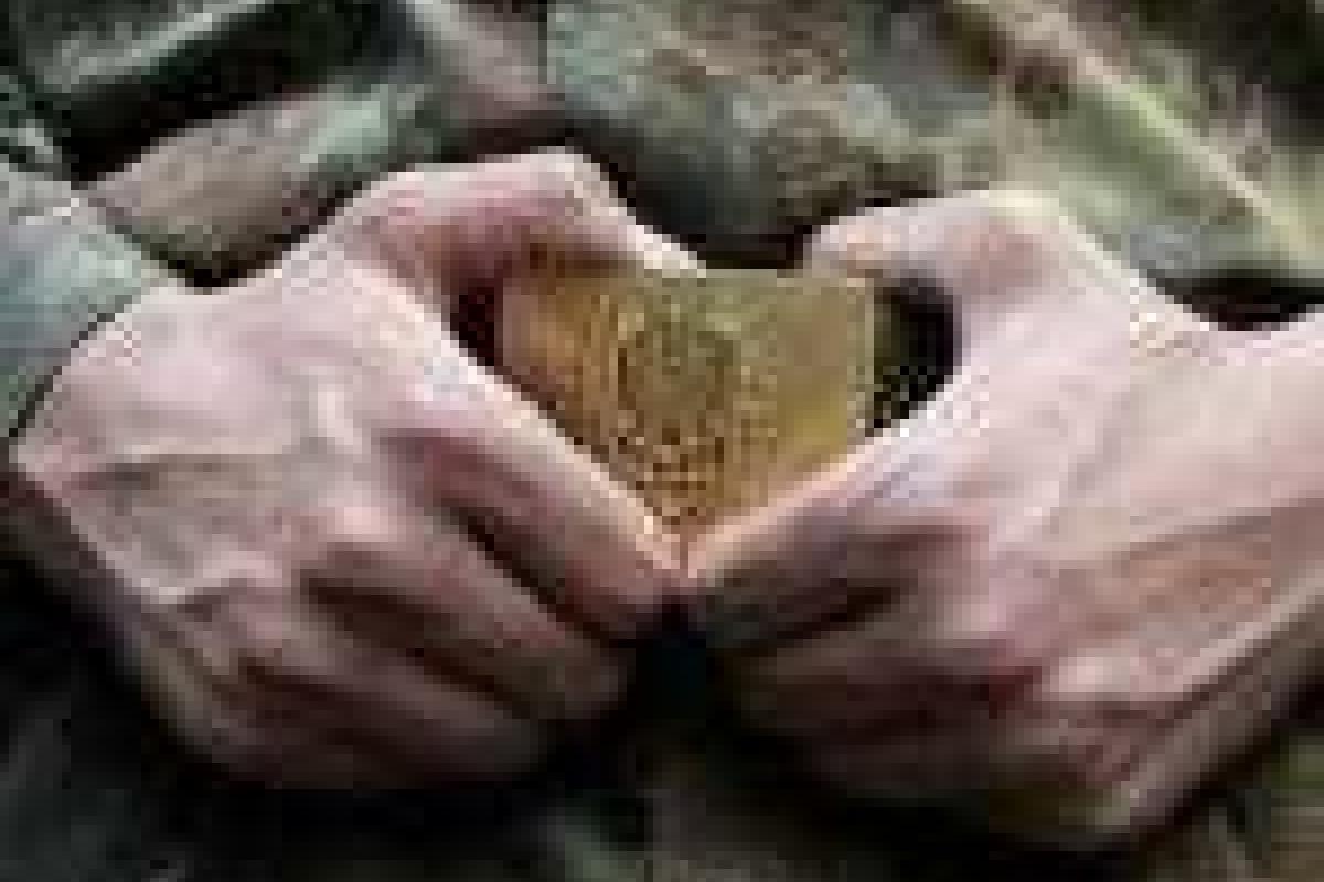 Шестая волна мобилизации в Украине закончилась провалом Шестая волна мобилизации в Украине закончилась провалом