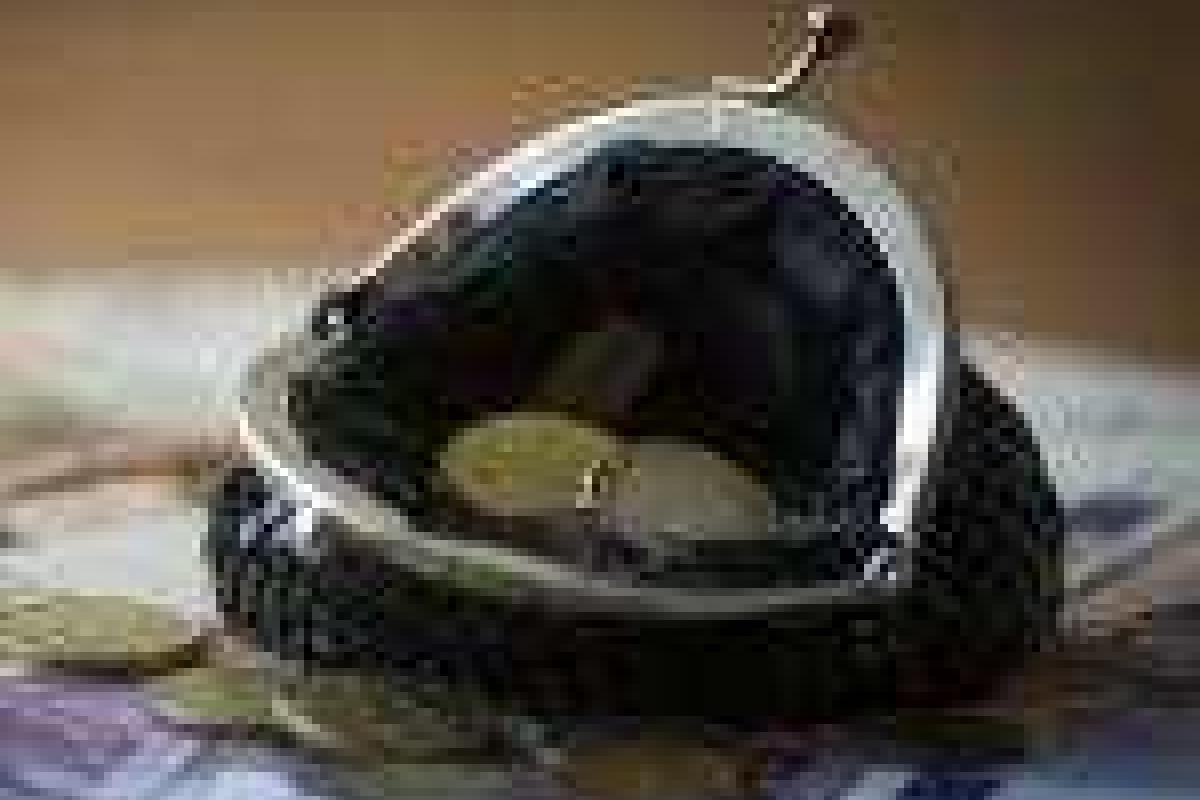 В Украине хотят отменить финансирование ВУЗов через госзаказ В Украине хотят отменить финансирование ВУЗов через госзаказ