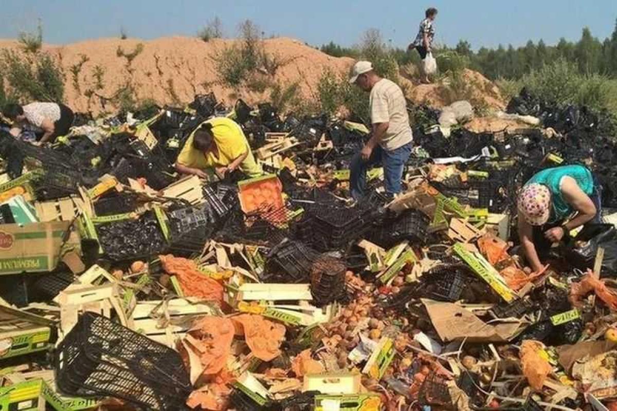 Только Путин мог заставить народ ползать по свалкам, - Казанский Только Путин мог заставить народ ползать по свалкам, - Казанский